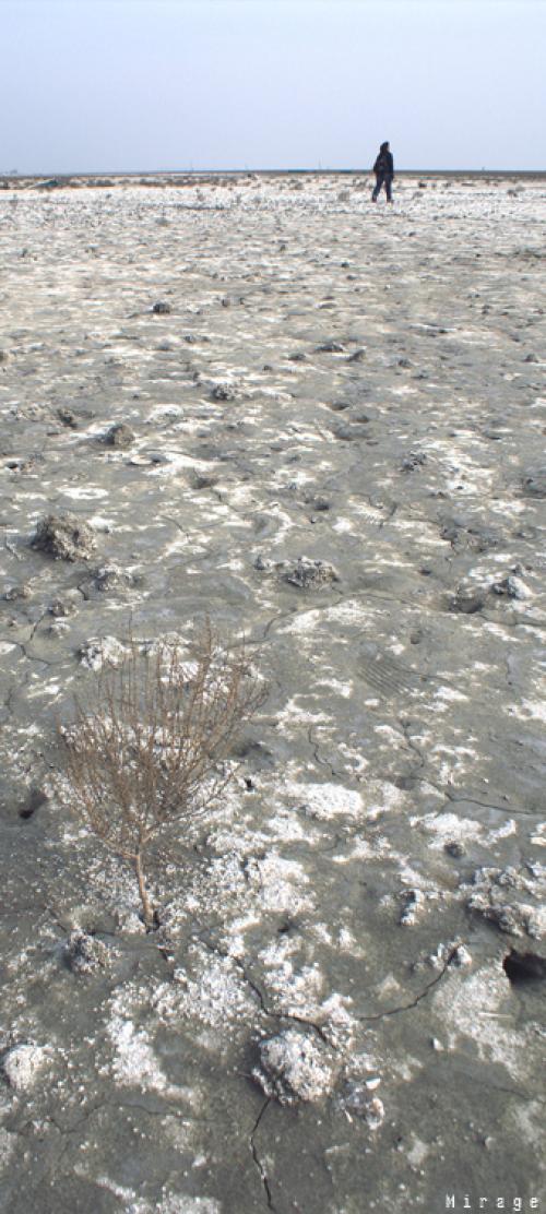 군산에 다녀왔어요...