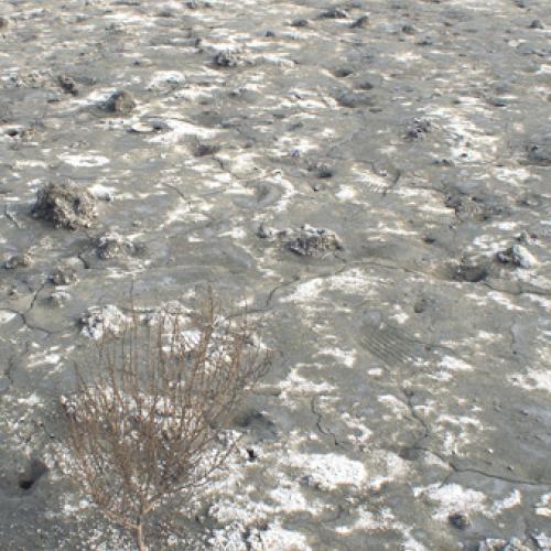 군산에 다녀왔어요...