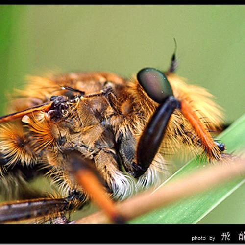 오늘 아침엔?????????