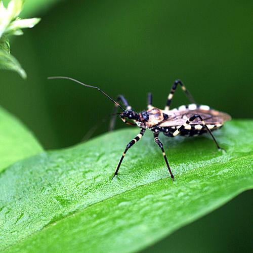 오늘 아침엔196-2탄