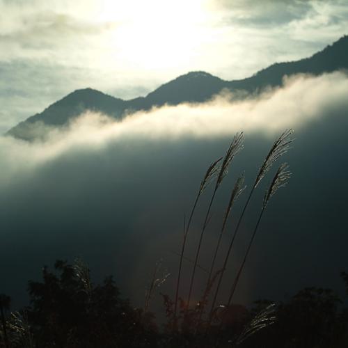 구름모자 (일욜 정모샷)