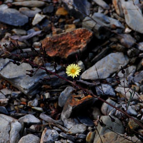 메마른곳에서 뭐하니?