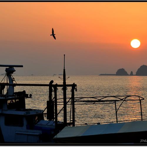 왜목마을 일출...