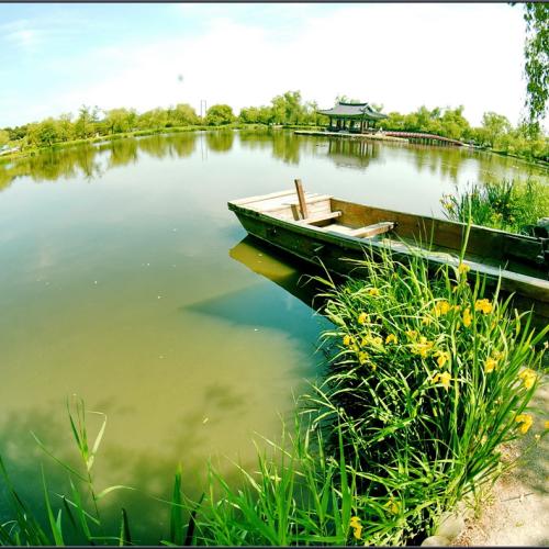 [D1X]궁남지의 초여름2