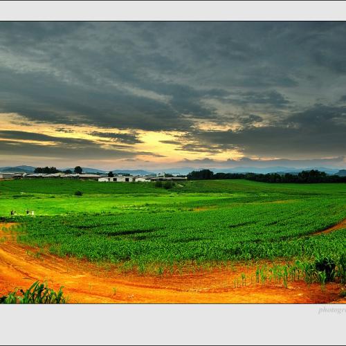 목장의 태풍전야