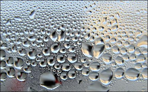 겨울이 준 선물 3