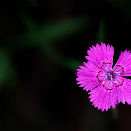 오늘 아침엔196-3탄