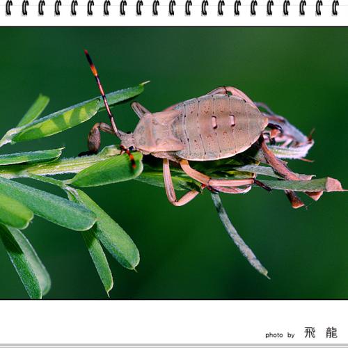 오늘 아침엔 76탄(연작)