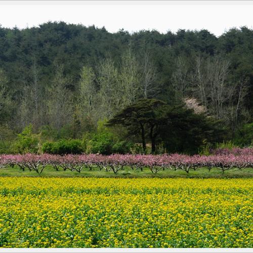 4월 정모출사 숙제