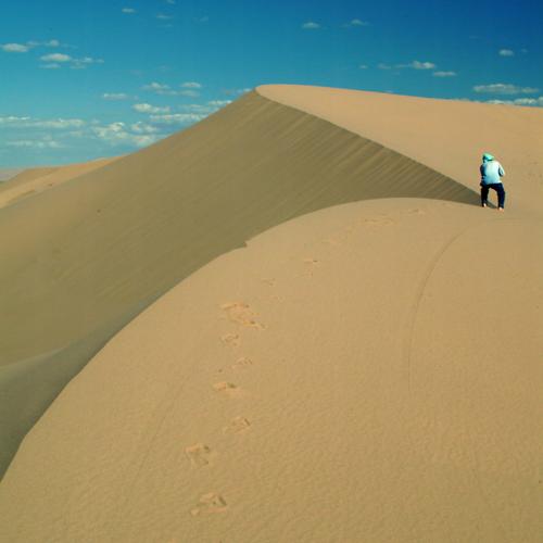 행복한 사진사-2