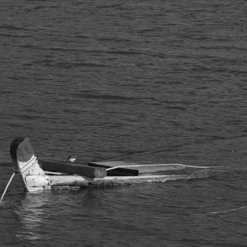 홀로 된다는....