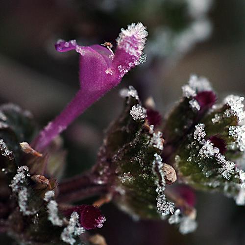 오늘 아침엔147-2탄