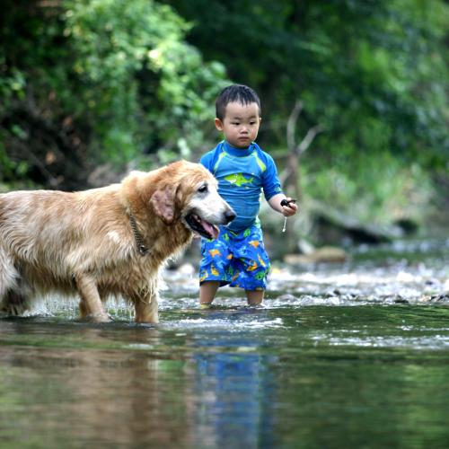 오랜만이네요. : )