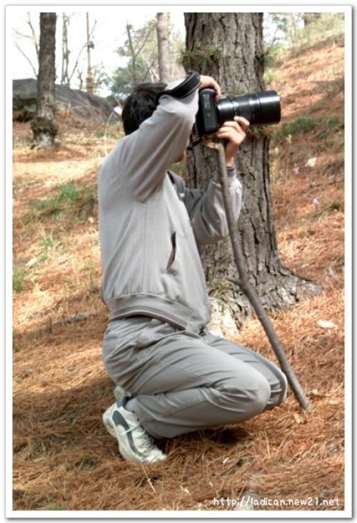 자연산 모노포드