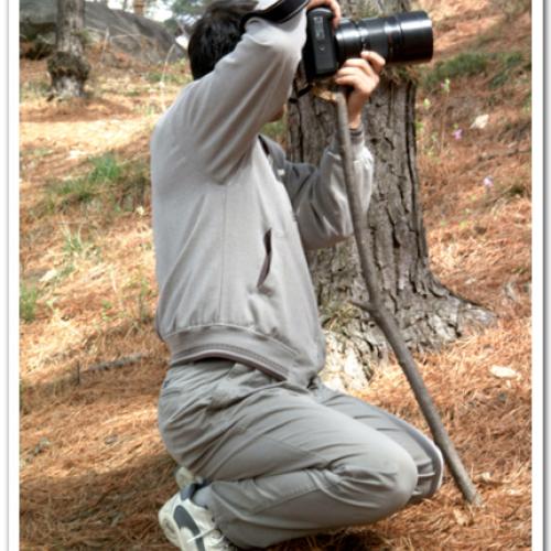 자연산 모노포드