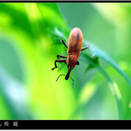 오늘 아침엔77탄