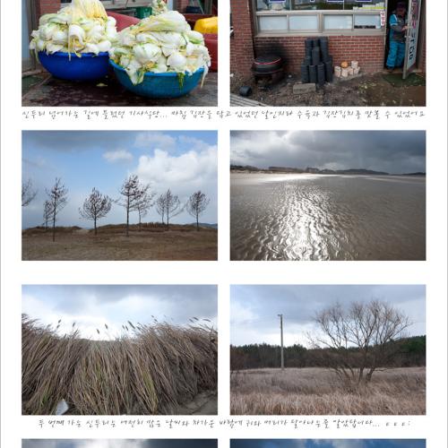 장고항->신두리->학암포