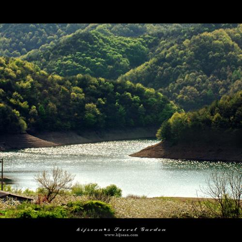 호수가 보이는 과수원 투~ ^^