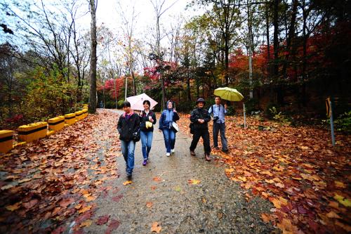 2011년 11월 05일 보문사 출사