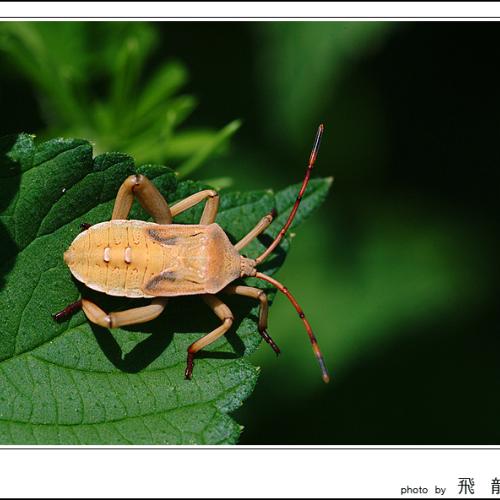 오늘 아침엔77-2탄