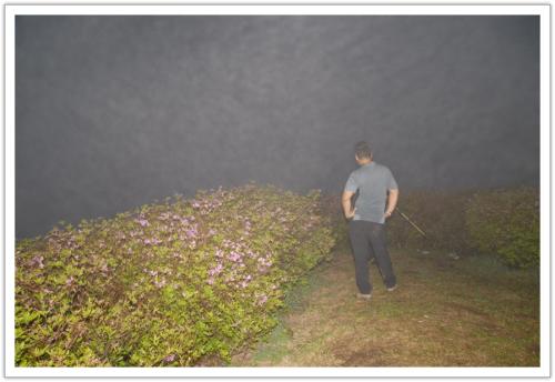 안개속의 S 라인 사나이