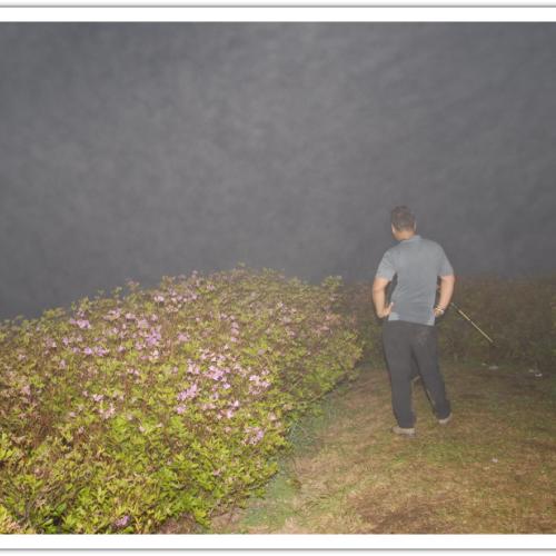 안개속의 S 라인 사나이