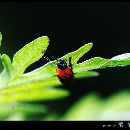 오늘 아침엔77-3탄