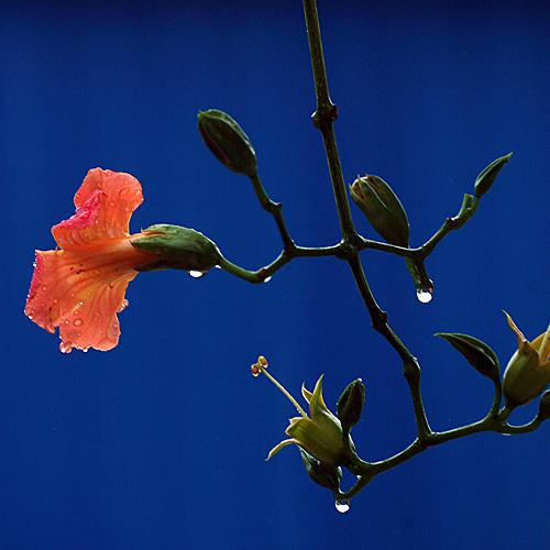 오늘 아침에198탄(어제 그거)