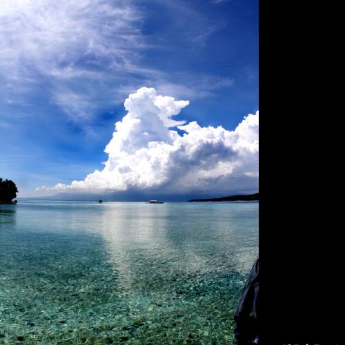 뛰어들고 싶은 충동