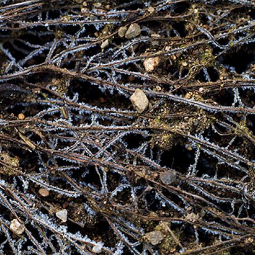 오늘 아침엔142-2탄