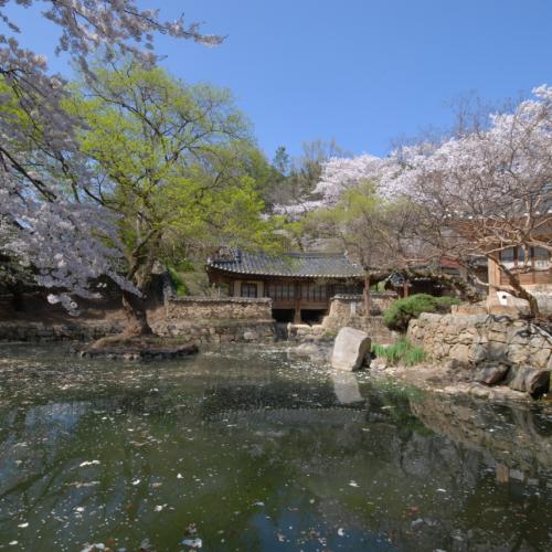 우암사적공원에서