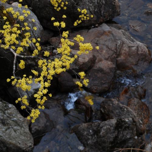 산동 상위마을에서