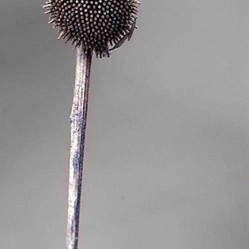 오늘 아침엔148(뭔지 모름)