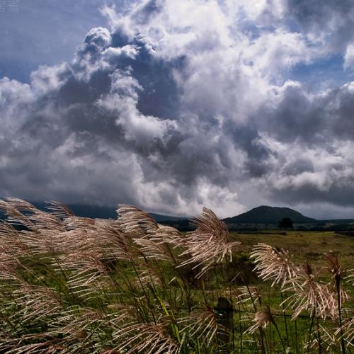 구름이야기[오름,억새]