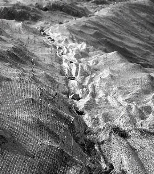 세종시로 가는 길 ~