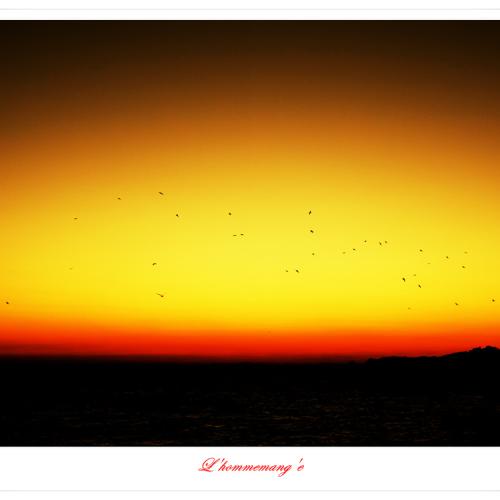 왜목의 아침은 이렇게 시작되었다...