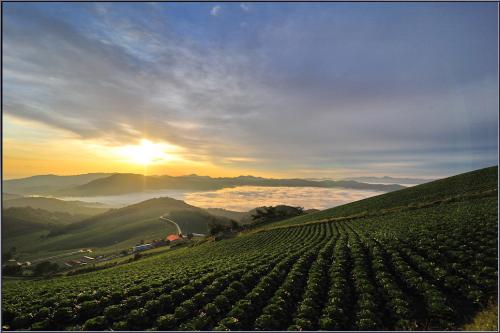 [D3] 안반덕의 아침