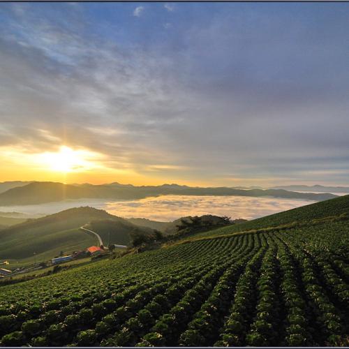 [D3] 안반덕의 아침