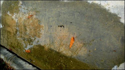 겨울로 가는 길에