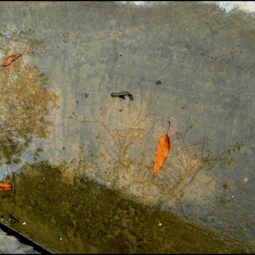 겨울로 가는 길에