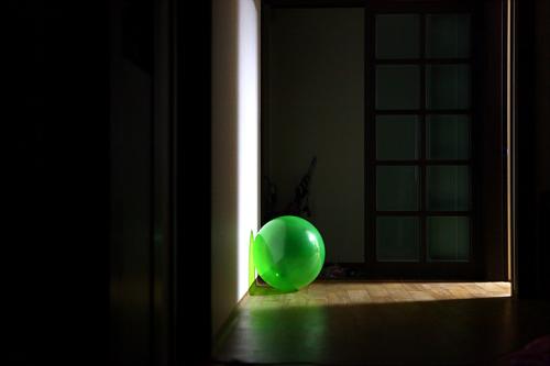 디지털카메라 구입신고...