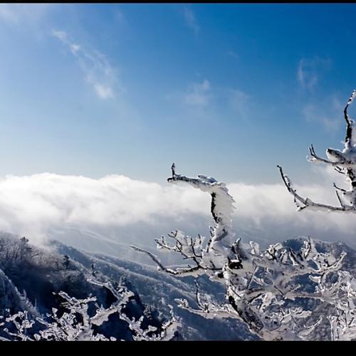 겨울 승천