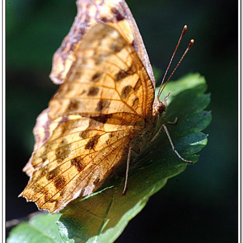 오늘 아침엔 78-2탄