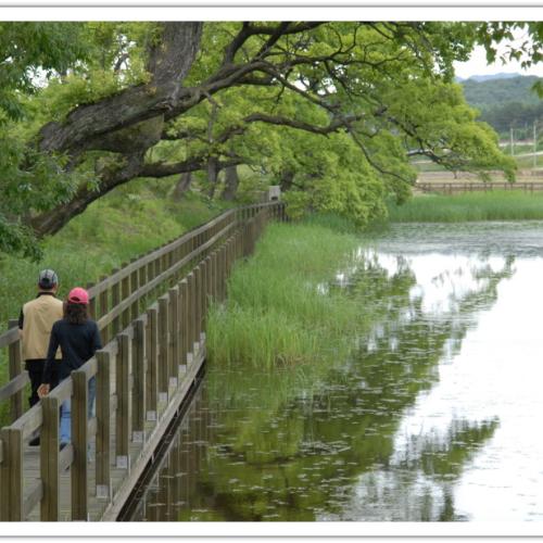 " 얼레리 꼴레리 "