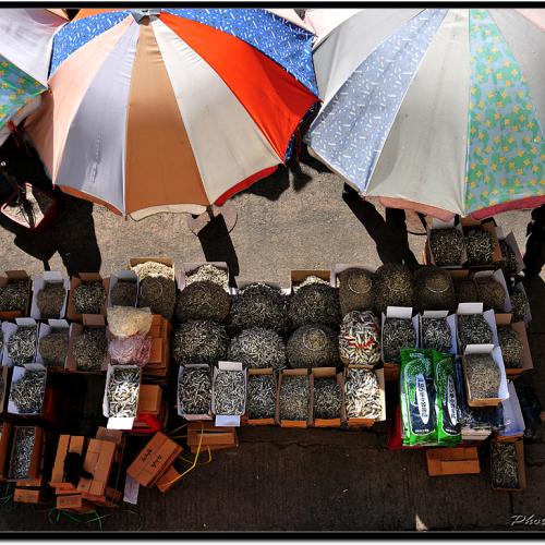 누군가를 기다리며...1