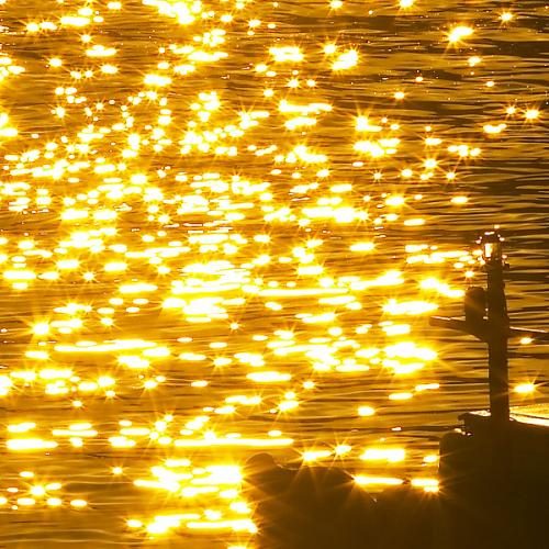 금빛에 물들고...^^