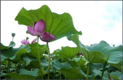 여름의 끝자락에서