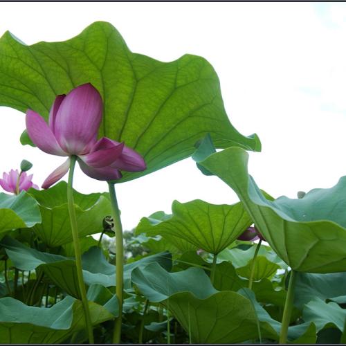 여름의 끝자락에서