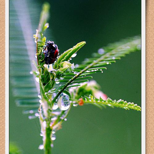 오늘 아침엔91탄