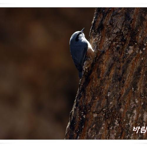 모델이 되어준 새